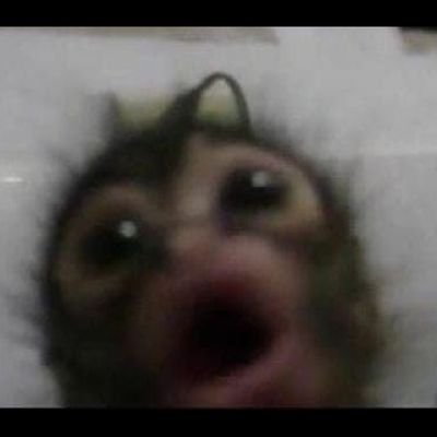 xvxvxvmx's profile picture. jugador promedio de wz ❤️🇲🇽