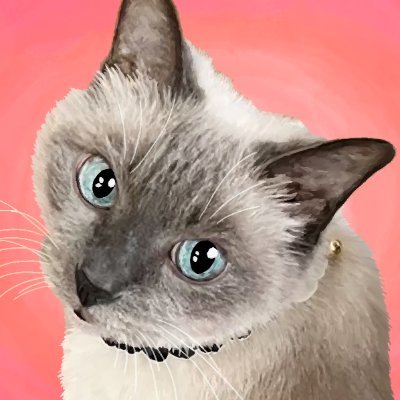 amievi_libe's profile picture. シズル感のある美味しそうなデザインやイラストが大好き♪