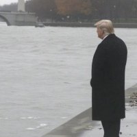 TZ89XBT (@mohdtowhid89) 's Twitter Profile