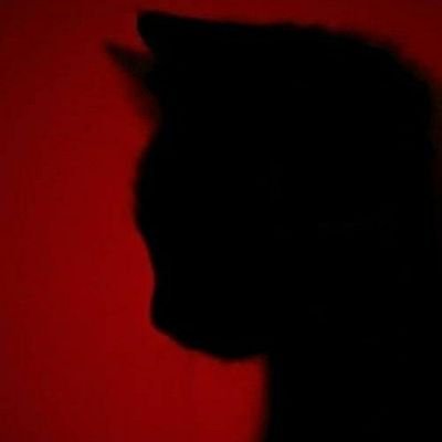 danielm82047088's profile picture. 