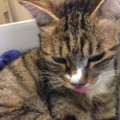 ヒルコ・ミネルヴァです。前アカウントは凍結されてしまいました。よろしければフォローお願いします。当サイトはAmazonのアソシエイトとして収入を得ています。
「ヒルコのブログ⇒https://t.co/HjPqAWPtXu」
#フォロバ100 #ブルバ100