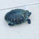 Landon Boyd - @noname485929 - Twitter