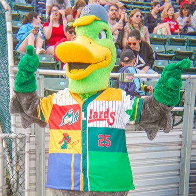 DFSBee6898's profile picture. Wisconsin Football is in shambles.