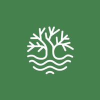Forest of wing (@forestofwing) 's Twitter Profile