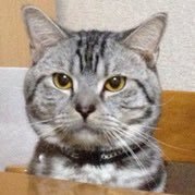 kkk_nin's profile picture. JW5→CU2 👨‍🔧⚙️ 🚗³₃ 🐈🐾 ☕️𓈒 𓂂𓏸 2023/2/26💍 2023/7/26👶🏻🎊