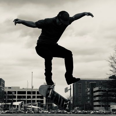 lunarp00n's profile picture. $QNT #SkateorDie $TAO  100%