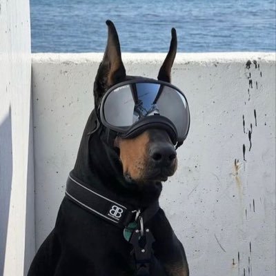 rahimmb998's profile picture. plomo a los opresores, libertad a los mestizos