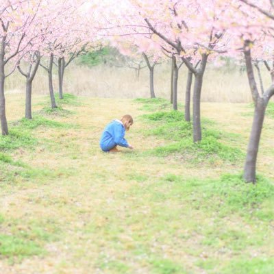 YURI1017YURI's profile picture. 猫が大好き🐈 A broken clock is right twice a day.