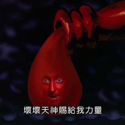 lncngyu519838's profile picture. 