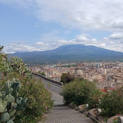 LaFagianata's profile picture. Non necessaria