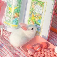 نور الحياه (@n__h_n_h_1) 's Twitter Profile