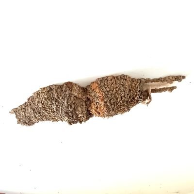 SonuMayis's profile picture. 