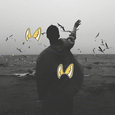 123Rmoosh's profile picture. 