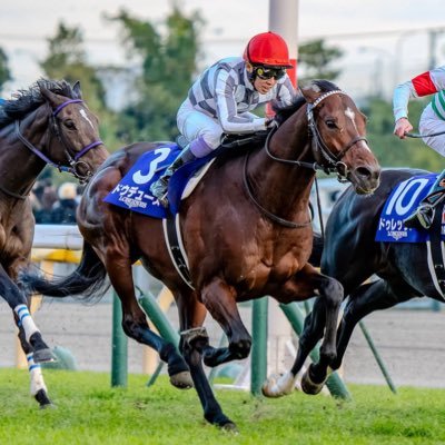 競馬/サッカー