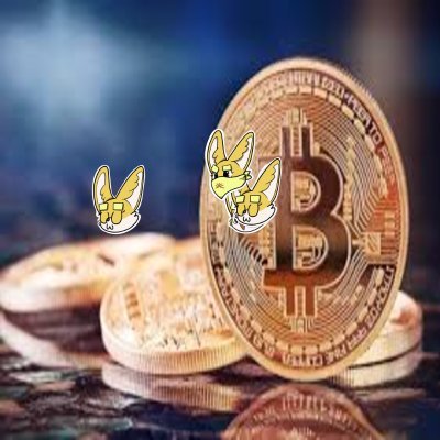 oss47's profile picture. Sahara #0097247