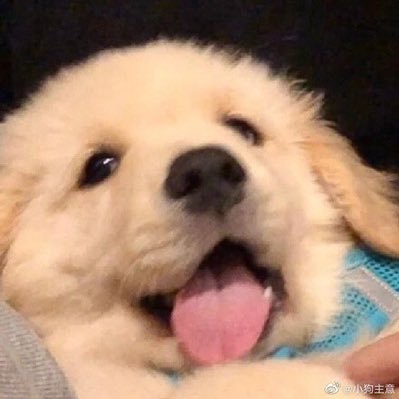 Conszy12's profile picture. 