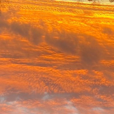 Amazing_dum's profile picture. Gay, taken, furry