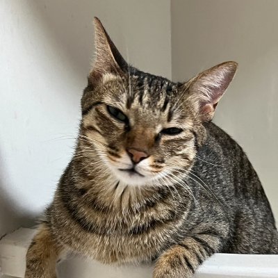 iamleaf2024's profile picture. 