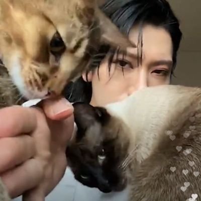 Bow.pさんのプロフィール画像
