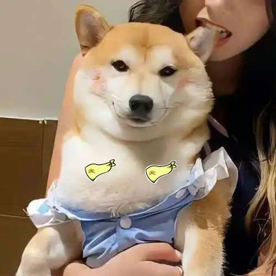 OaoaYurika's profile picture. 使ってません Sahara #0099434