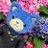 ao_iroirodane