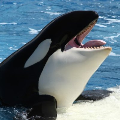 薫さんのプロフィール画像
