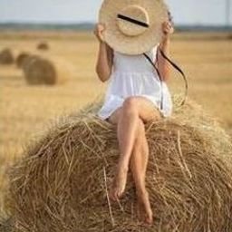 Irporfgu930217's profile picture. 