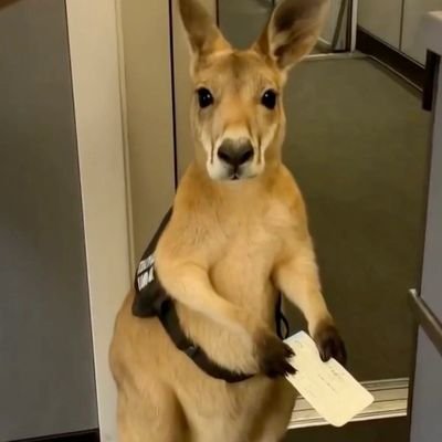 Lost_Boy711's profile picture. 