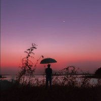 Seeeditch (@seeeditch) 's Twitter Profile
