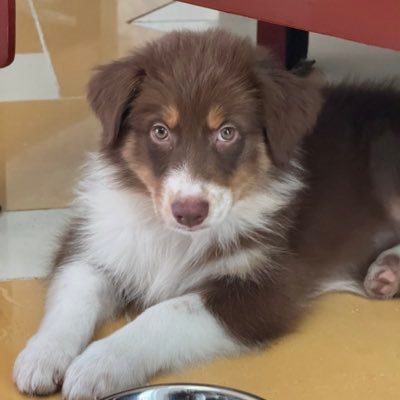 jaflorezs41's profile picture. 