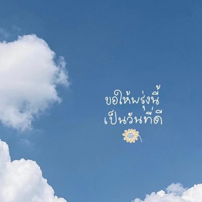 chocko_beau's profile picture. 