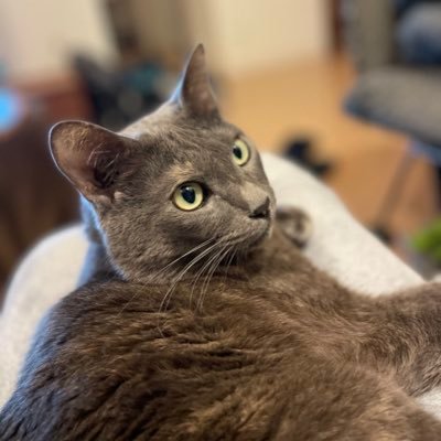 parahara_'s profile picture. 