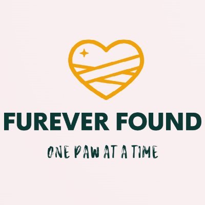 2025 Start up, engaging in financial aid to animal shelters throughout the world by fundraising!