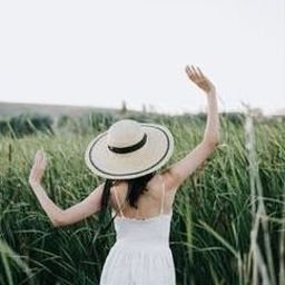 Jarcau5338376's profile picture. 