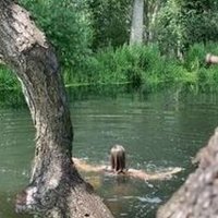 Weala (@weala322) 's Twitter Profile