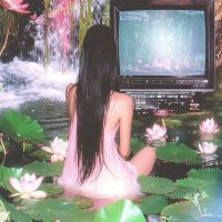 Demitra (@demitraserpente) 's Twitter Profile