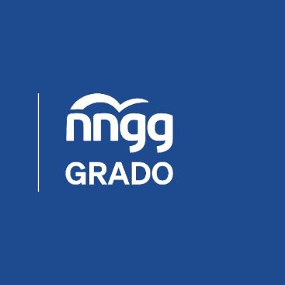 Grao_nngg's profile image
