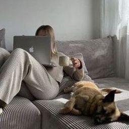 Preamui3235999's profile picture. 