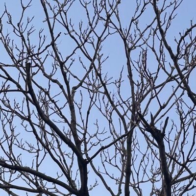 垃圾桶+NSFW 在三次不顺的事会被我丢到这里 尽管这并不等同于我的作品是垃圾 东西随缘发 看到我不用太担心 人很好 如果你喜欢明日方舟的炎客那我想我们应该能成为很好的朋友