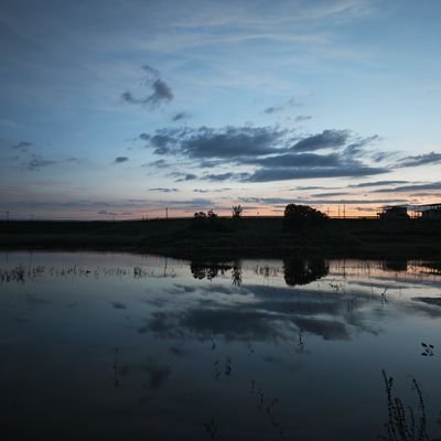 yuhuaming2012's profile picture. 