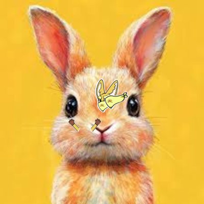 085392unf's profile picture. Sahara #0101118