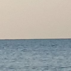 coqpe__'s profile picture. 