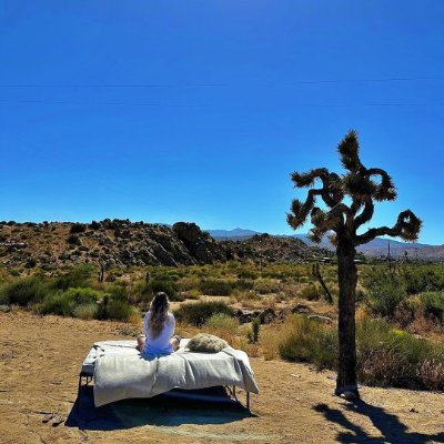 ferntatty's profile picture. Not fragile like a flower, fragile like a bomb.