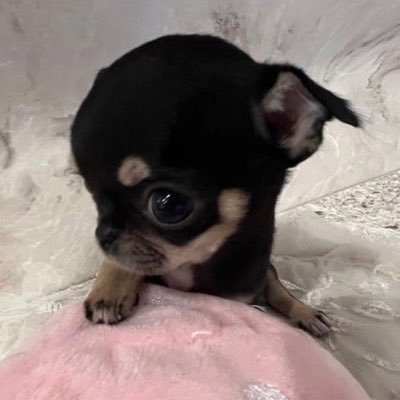 dodokdodok_'s profile picture. 구독..