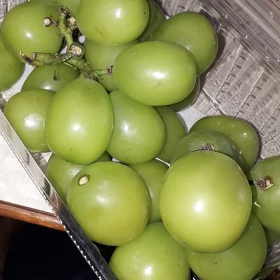 skipforAsec's profile picture. crowded kitchen // part of lunathera 🎀