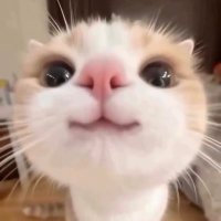 𝑷🫧เบ้บ🐰 (@babeieii) 's Twitter Profile Photo 𝑷🫧เบ้บ🐰 (@babeieii) 's Twitter Profile Photo