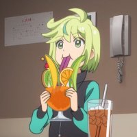 小鷹芍 (@kodakashaku) 's Twitter Profile