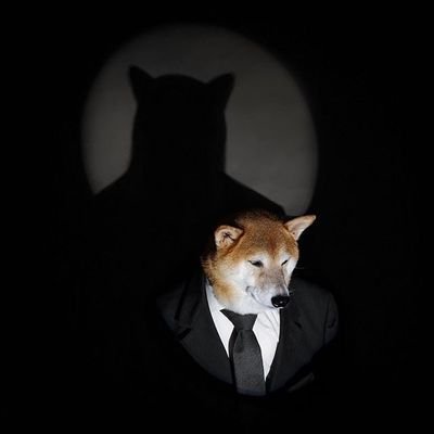 whodunnit Profile