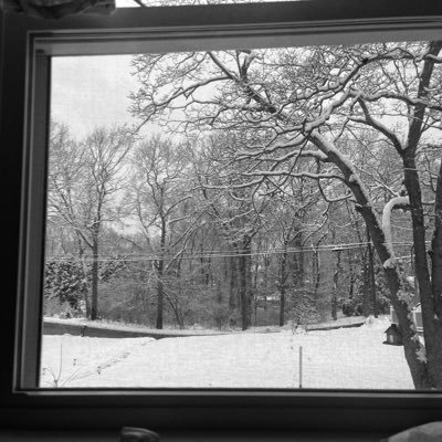 lightpatrol's profile picture. 