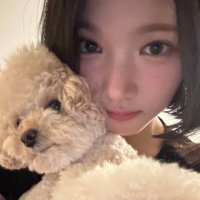 김부끄 ֊ .̫ ֊ (@kimbukku) 's Twitter Profile Photo 김부끄 ֊ .̫ ֊ (@kimbukku) 's Twitter Profile Photo